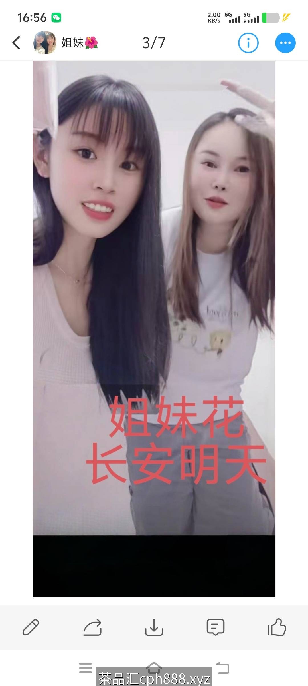 精彩照片