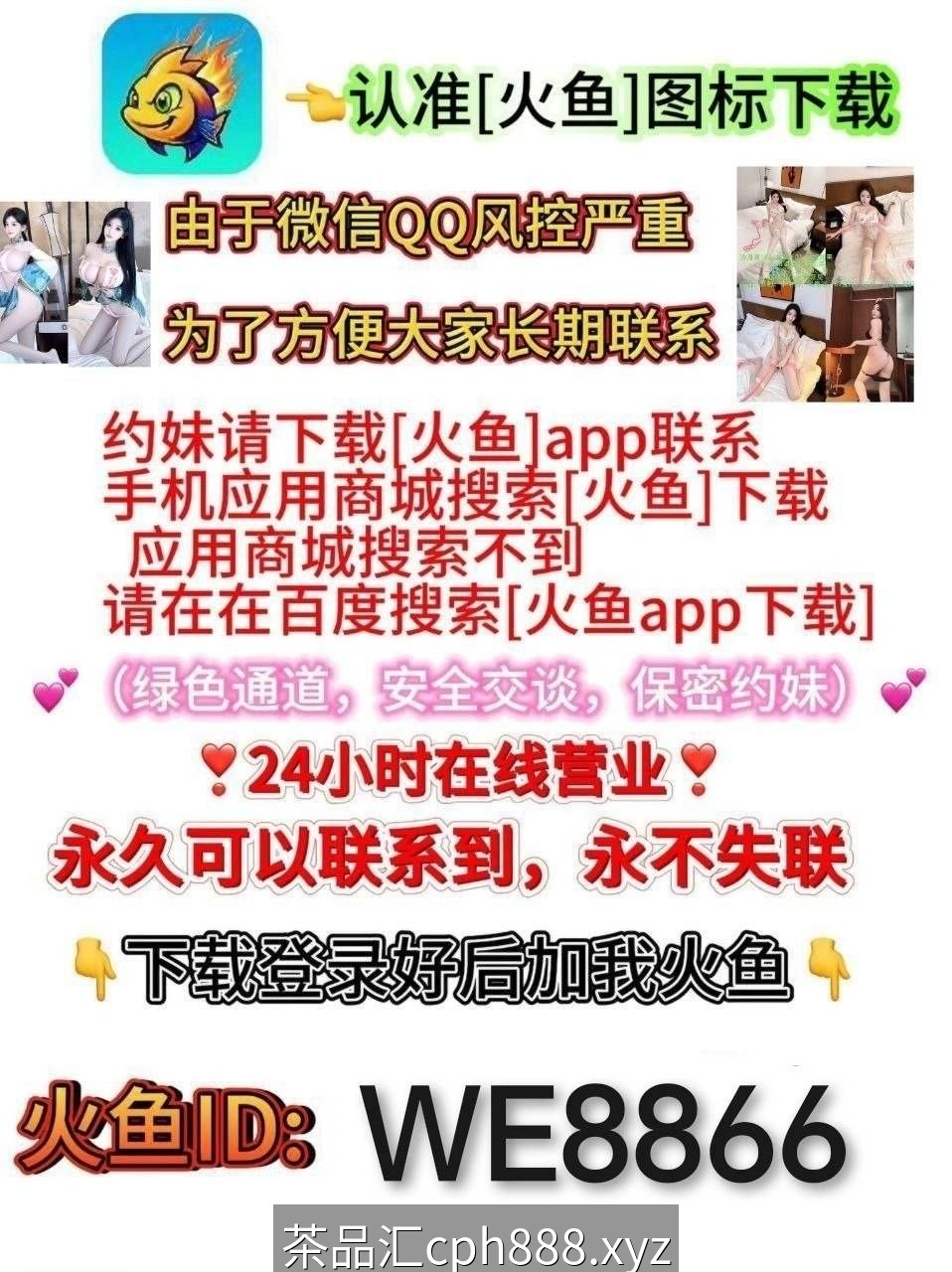 精彩照片