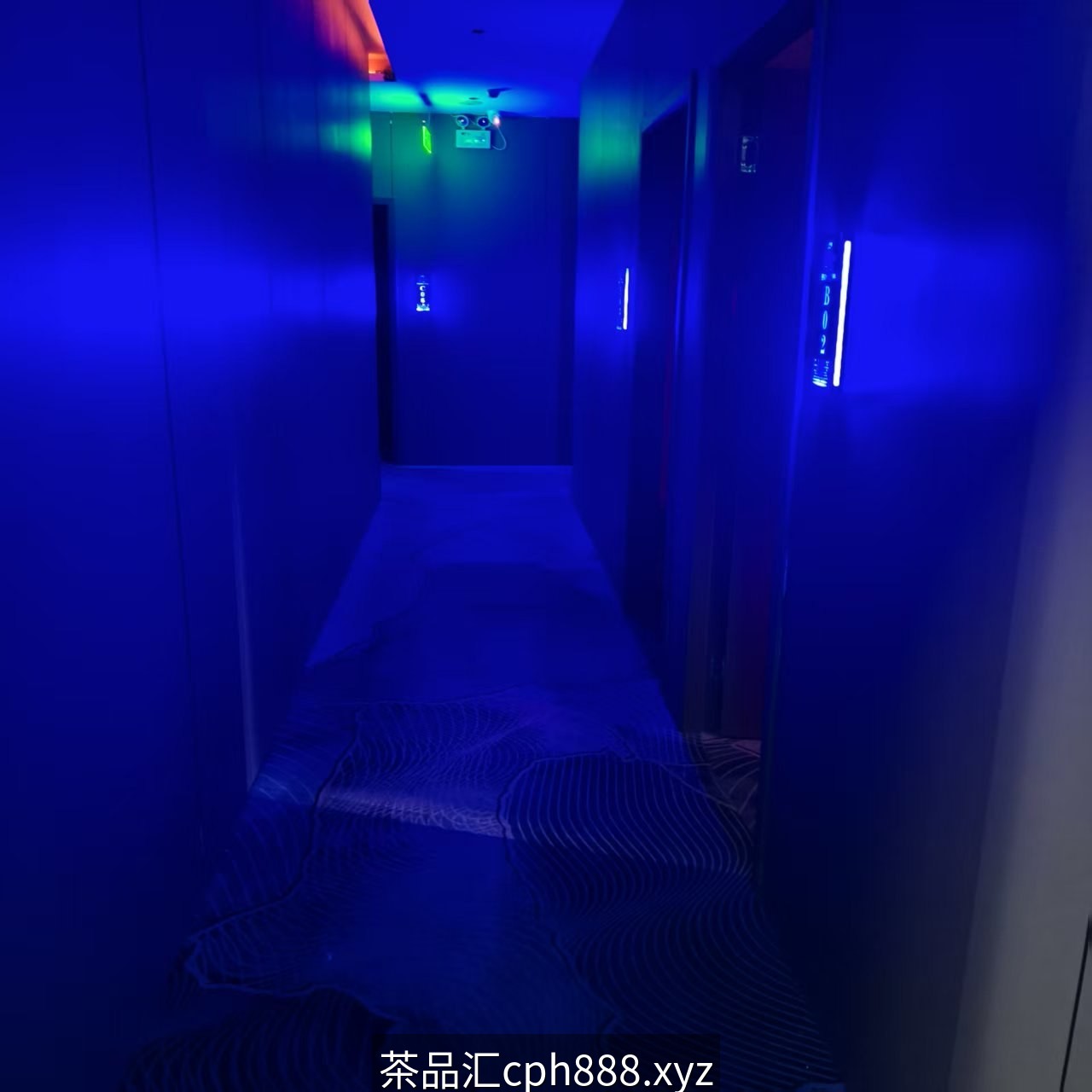 精彩照片