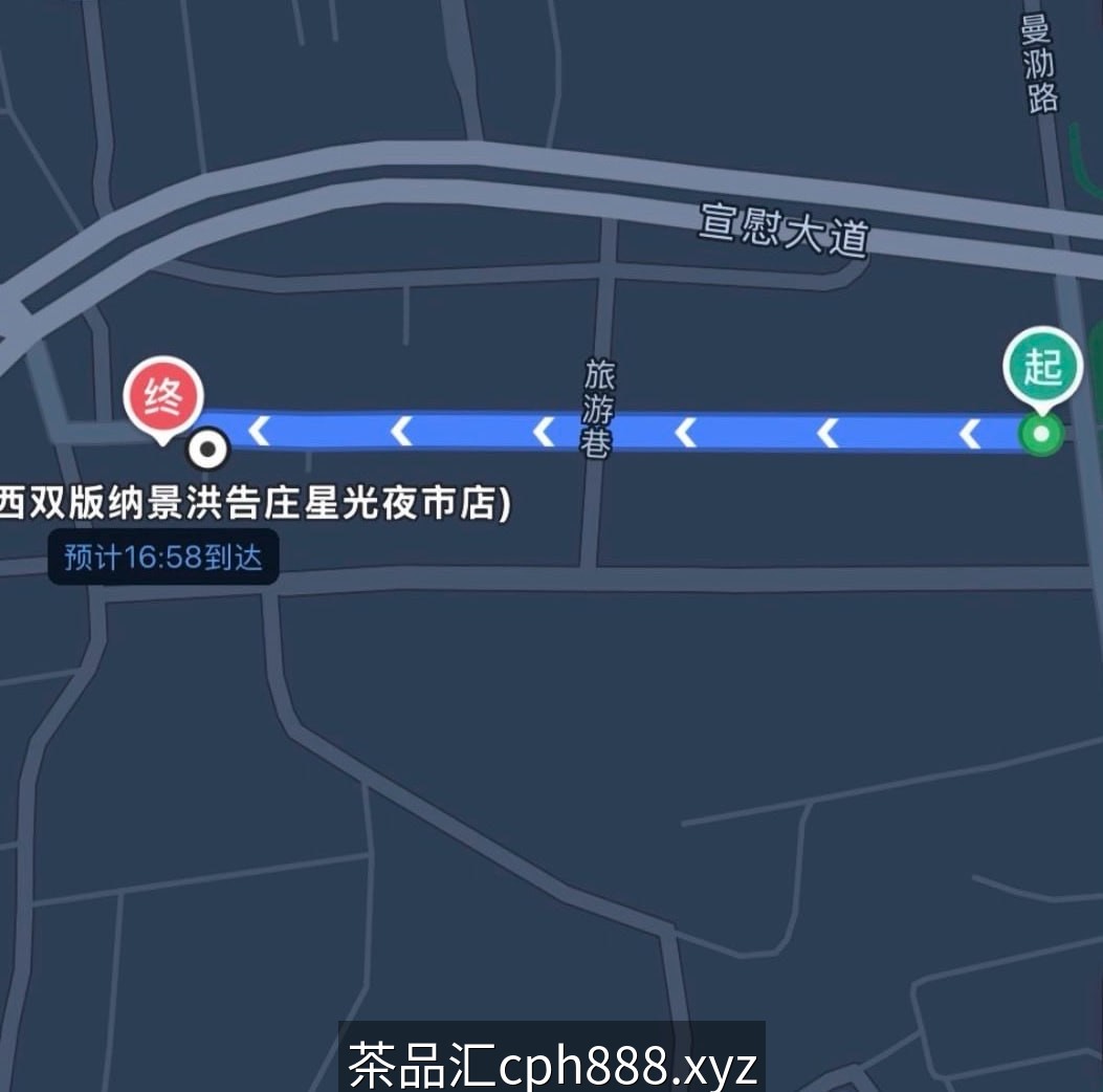 精彩照片